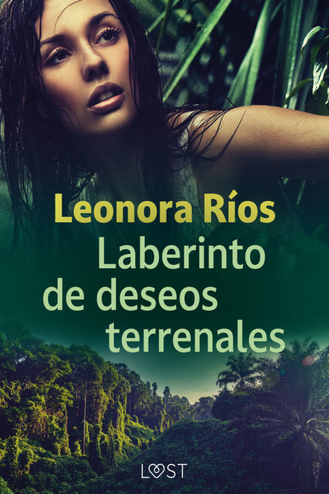 Omslag: Laberinto de deseos terrenales