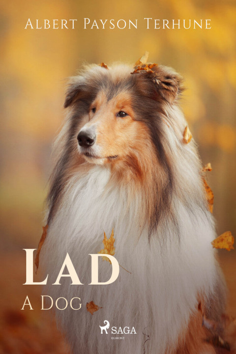 Omslag: Lad: A Dog