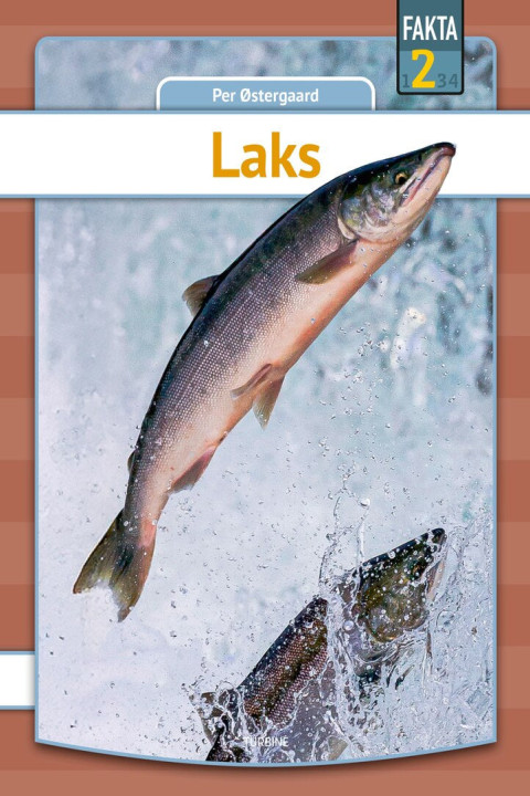 Omslag: Laks
