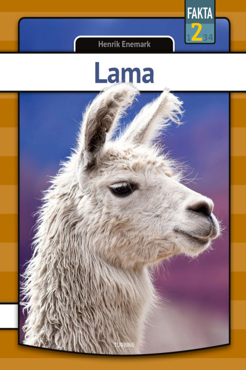 Omslag: Lama