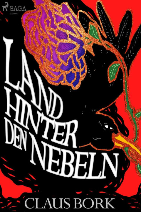 Omslag: Land hinter den Nebeln