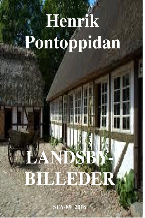 Omslag: Landsbybilleder
