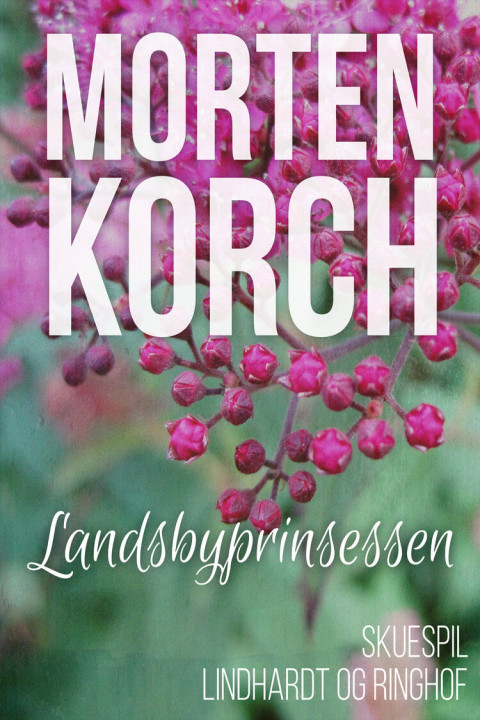 Omslag: Landsbyprinsessen