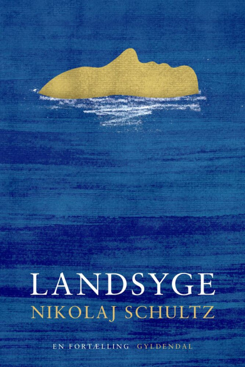 Omslag: Landsyge