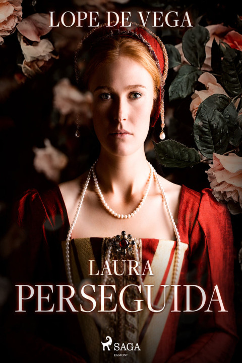 Omslag: Laura perseguida