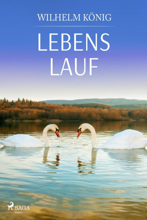 Omslag: Lebens lauf