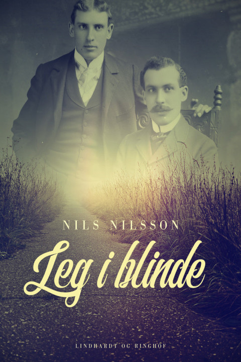 Omslag: Leg i blinde