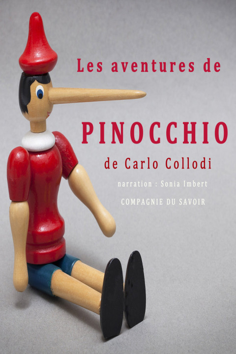 Omslag: Les Aventures de Pinocchio