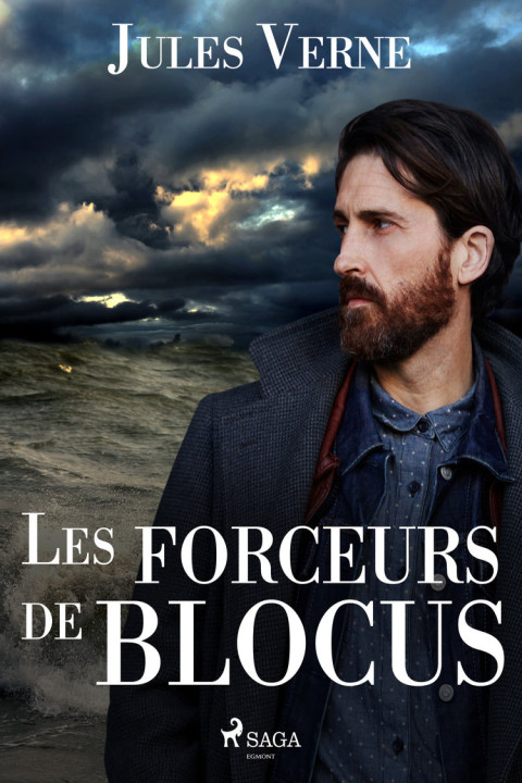 Omslag: Les forceurs de blocus