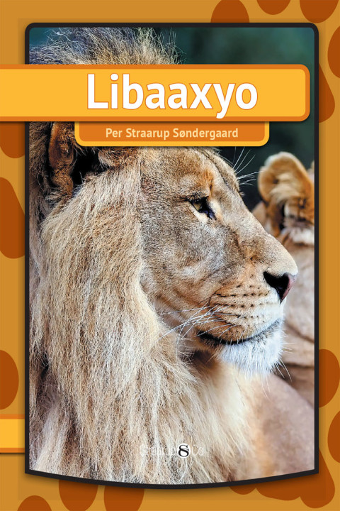 Omslag: Libaaxyo