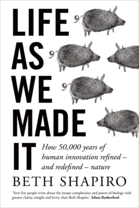 Omslag: Life as We Made It