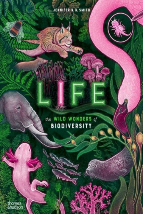 Omslag: Life