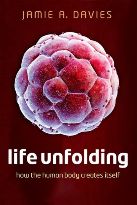 Omslag: Life Unfolding