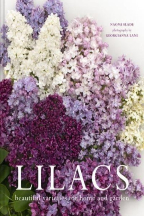 Omslag: Lilacs