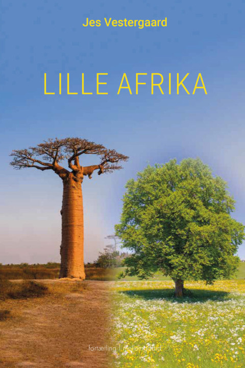 Omslag: Lille Afrika
