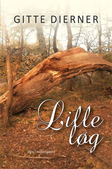 Omslag: Lille løg