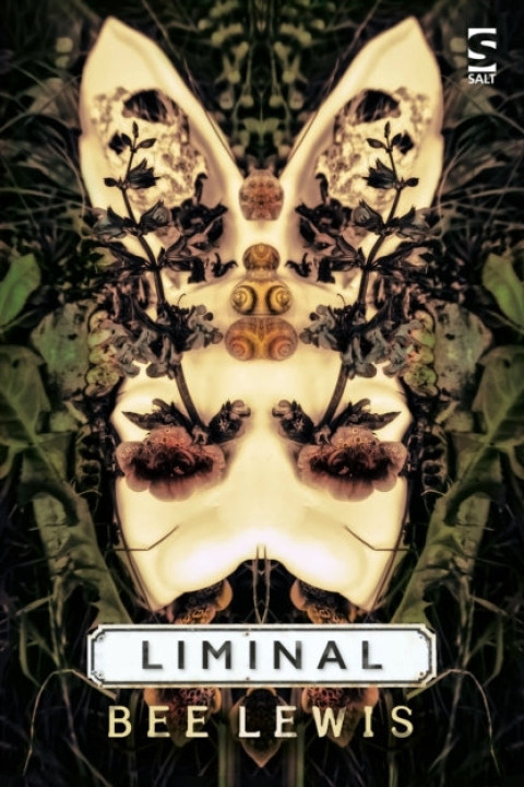 Omslag: Liminal