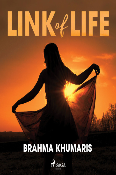 Omslag: Link of Life
