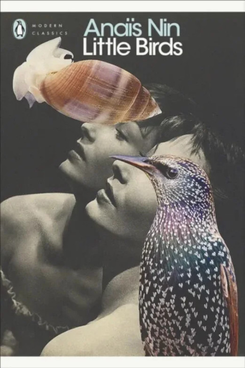 Omslag: Little Birds