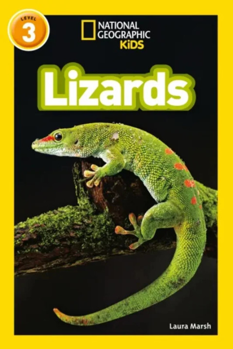 Omslag: Lizards - Level 3