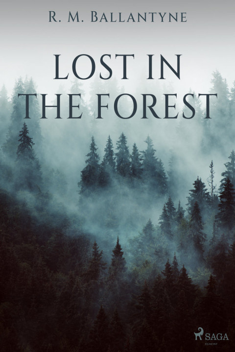 Omslag: Lost in the Forest