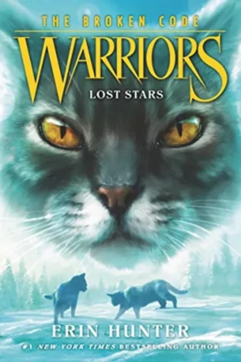 Omslag: Lost Stars