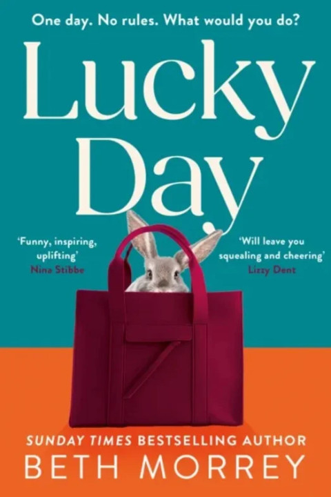 Omslag: Lucky Day