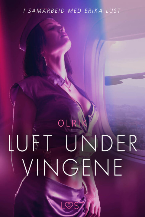 Omslag: Luft under vingene - erotisk novelle