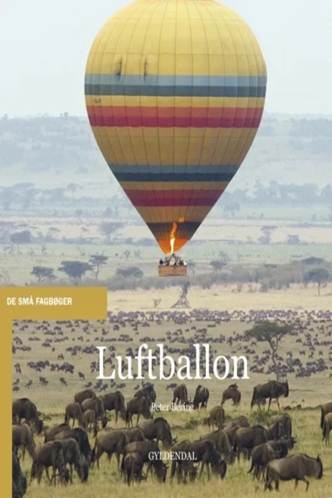 Omslag: Luftballon