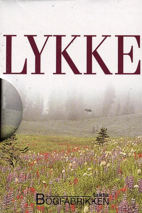 Omslag: Lykke