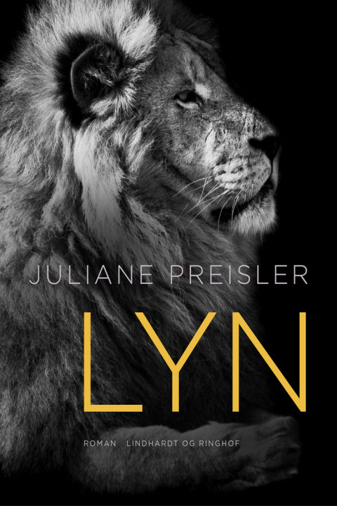 Omslag: Lyn