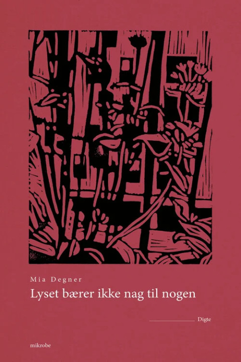 Omslag: Lyset bærer ikke nag til nogen