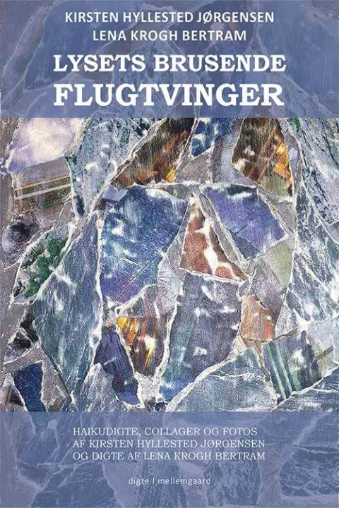 Omslag: Lysets brusende flugtvinger