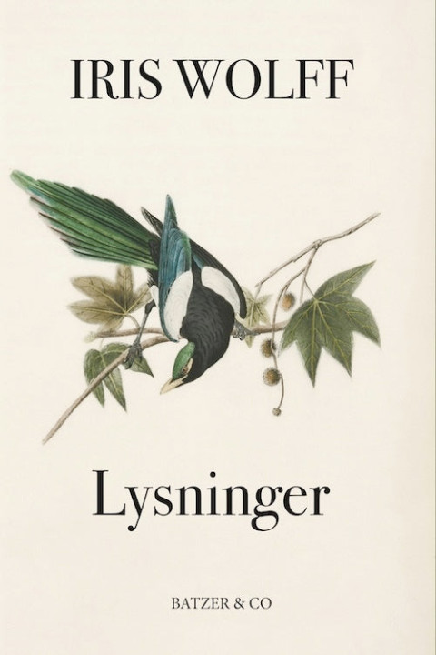 Omslag: Lysninger