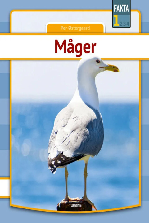 Omslag: Måger