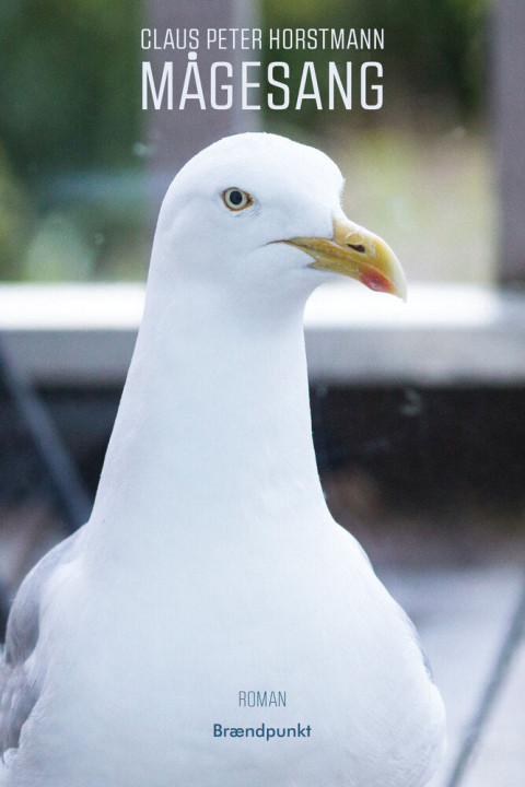 Omslag: Mågesang