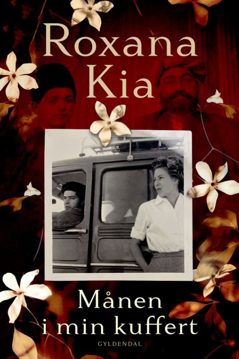 Omslag: Månen i min kuffert