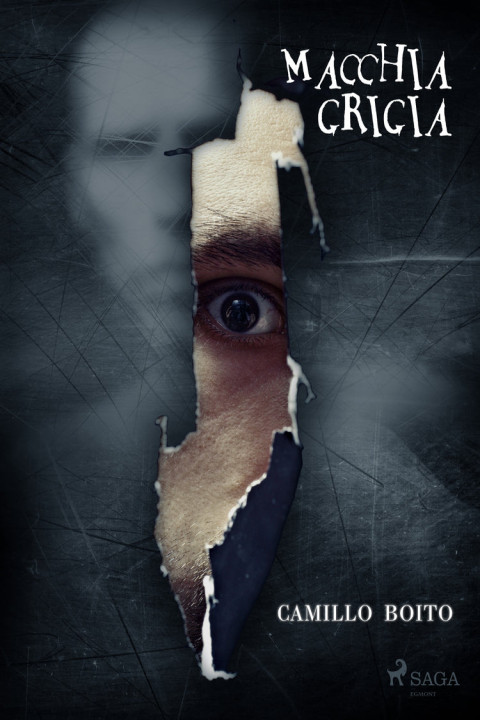 Omslag: Macchia grigia