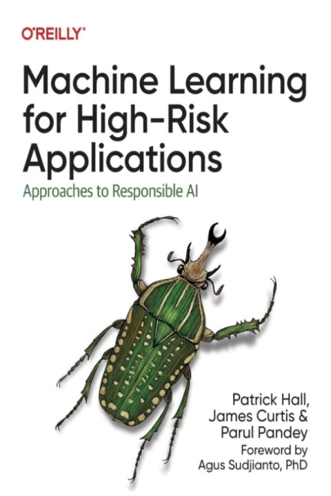 Omslag: Machine Learning for High-Risk Applications