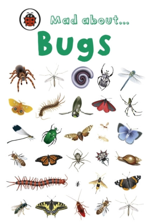 Omslag: Mad About Bugs
