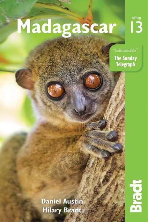 Omslag: Madagascar