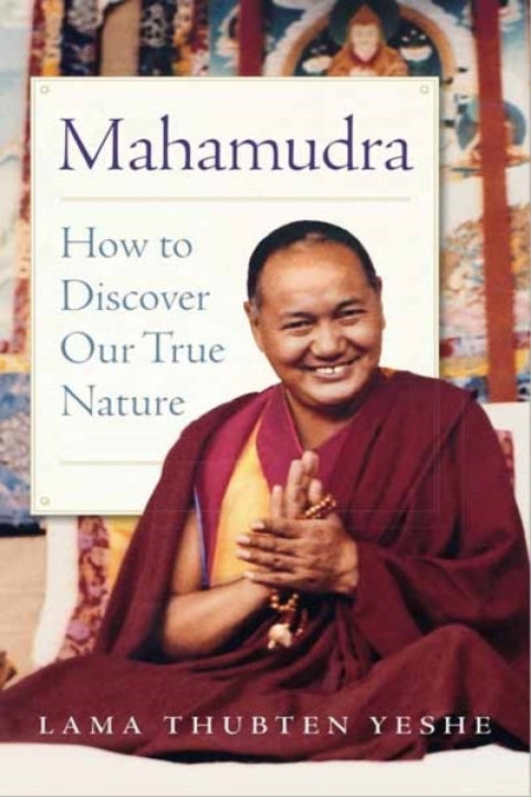 Omslag: Mahamudra