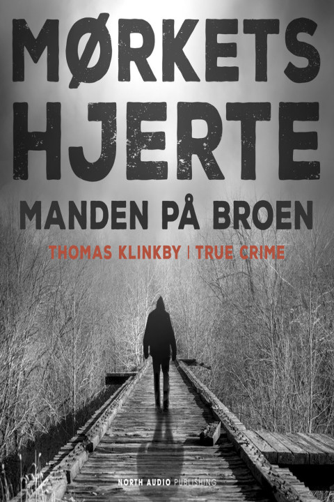 Omslag: Manden på broen