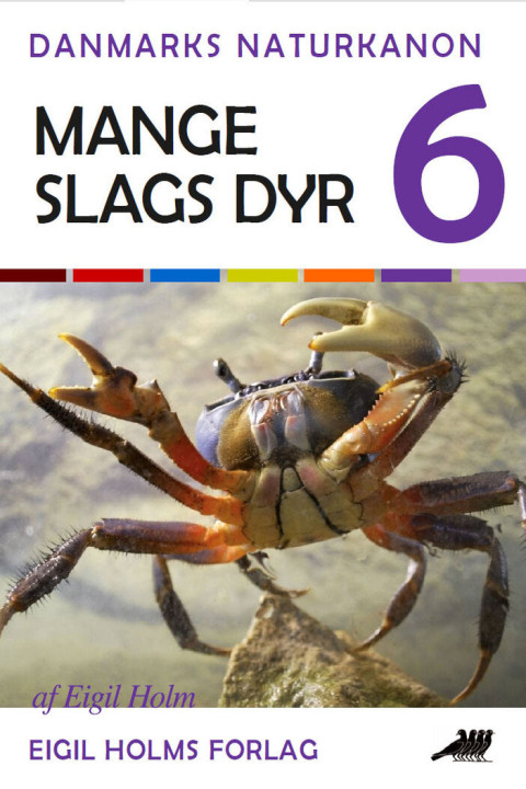Omslag: Mange slags dyr