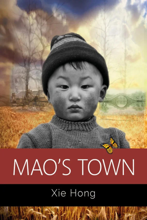 Omslag: Mao s Town