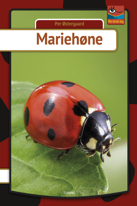 Omslag: Mariehøne