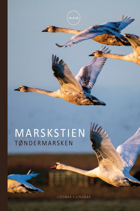 Omslag: Marskstien