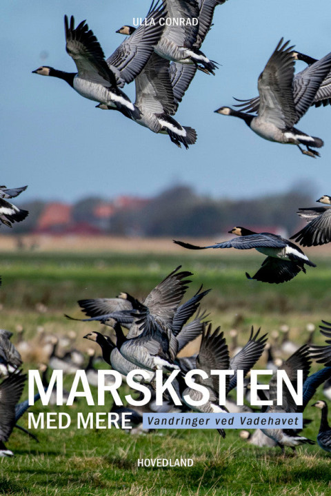 Omslag: Marskstien