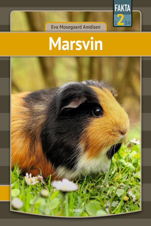 Omslag: Marsvin