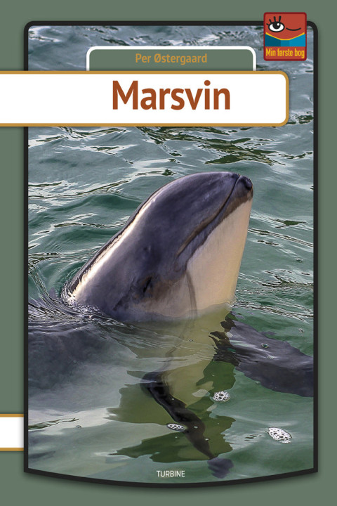 Omslag: Marsvin